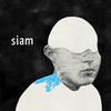 Tel Aviv Downtown (Red Axes Edit) - Siam
