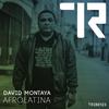 Afrolatina (Instrumental) - David Montoya