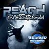 Reach (Original Mix) - Breakdown