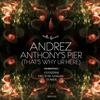 Anthony's Pier(That's Why Ur Here) (Héctor Sawiak Remix) - Andrez