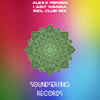 I Just Wanna (Club Mix) - Alexx Fergen