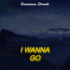 I Wanna Go - (Funk Remix) - Gravezaum Stronda&Sr.Mello