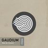 Wake Up(Original Mix) - Gaudium