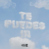 Te Puedes Ir (Explicit) - Beam