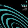 Sonar - Owen Ni