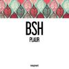 Plaur - BSH