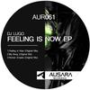 Feeling Is Now (Original Mix) - DJ Lugo