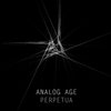 Perpetua (Radio Edit) - Analog Age