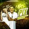 Pix (Explicit) - Mc Thiaguinho do Recife&G1lbert0 aka G1&Riicknobeat