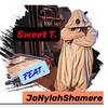 Different (Explicit) - Sweet T.&JaNylah Shamere