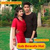 Sab Bewafa Hai - Ikbal khan&Zara Khan