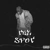 SPOT (Explicit) - TRZ