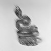 Snakes & Ladders - Ashez
