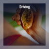 Driving - Renato Stefanini