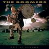 To Comfort You - The Boomers
