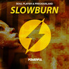 Slowburn - Soul Player&PreciousLand