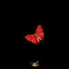 Bloody Flies(feat. India) (Explicit) - Kumba