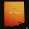 Want To Feel - Alex Kislov