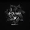 The Void Above (Original Mix) - David Sellers