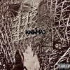 DIRT IN THE NAIL (Explicit) - KNWMAD&James Joyce the Squatch