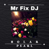 Fly With You - Mr Fix DJ
