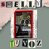 Tú Voz - Smelly