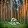 Positive Moments - Nature Sounds Relaxation: Music for Sleep&Meditation&Massage Therapy&SPA&Nature Sounds Paradise&Rainforest