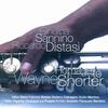 Wayne - Ondina Sannino&Riccardo Distasi