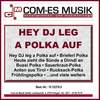 Heute zieht die Sünde a Dirndl an - Susal - Die Partyhexe