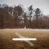 Carousel - xander.&Nafets