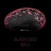 Black Coco - Nala