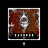 Brutal - Synapse