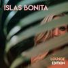 Sunshine Stereo (Bonnie & Klein Remix- KBE Edit) - The Kenneth Bager Experience&Damon C. Scott