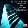 Love Hurts (Original Mix) - DJ Sonic&Mpumi