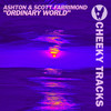 Ordinary World (Radio Edit) - Ashton&Scott Farrimond