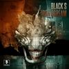 Iron Scream (Original Mix) - Black S