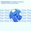 Calm Before The Storm (Original Mix) - Damien Fisher