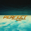 Perfect - Tempo&Mc Gury&Beast
