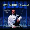 Blowin' in the Wind - Dave Ashby