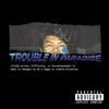 Trouble In Paradise (Explicit) - Crayons