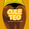 Culeteo(with Black Jonas Point) - Ceky Viciny&Black Jonas Point
