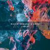 Carry On (Explicit) - Maxim Schunk&Arva