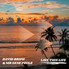 Like This Life - David Briph&Mr Gene Poole