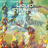 Frankenskank (Manic Focus Remix) - Liquid Stranger&Mr. Bill