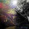 Thirty Six - Sheaelisa