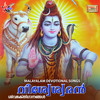 Namah Shivaya - Veena&Syama