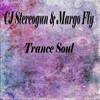 Valley Of Flowers (Original Mix) - Cj Stereogun&Margo Fly