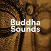 Lost Forest - Buddha Sounds&Frank Piano