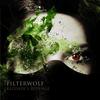 Klezmer's Revenge (Julio Portillo Remix) - Filterwolf