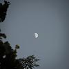 Moon - WINTERPOOR&Eli Sommerich&Eliphas